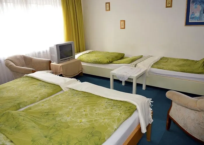 Hotel Ziegenhagen Kolín nad Rýnem